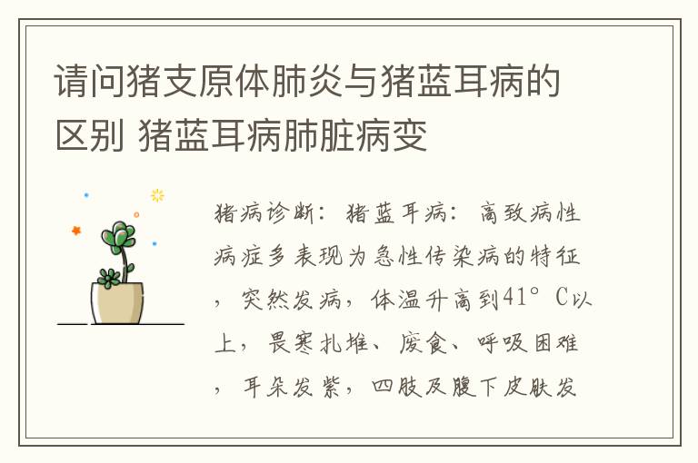 请问猪支原体肺炎与猪蓝耳病的区别 猪蓝耳病肺脏病变