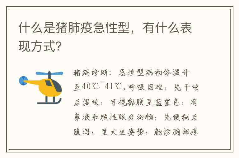 什么是猪肺疫急性型，有什么表现方式？