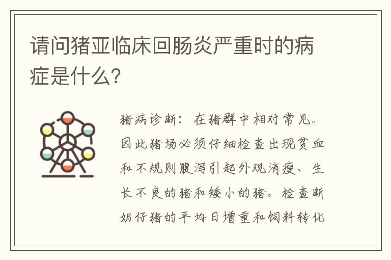 请问猪亚临床回肠炎严重时的病症是什么？