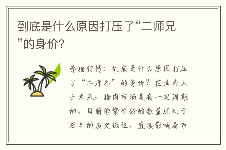 到底是什么原因打压了“二师兄”的身价？