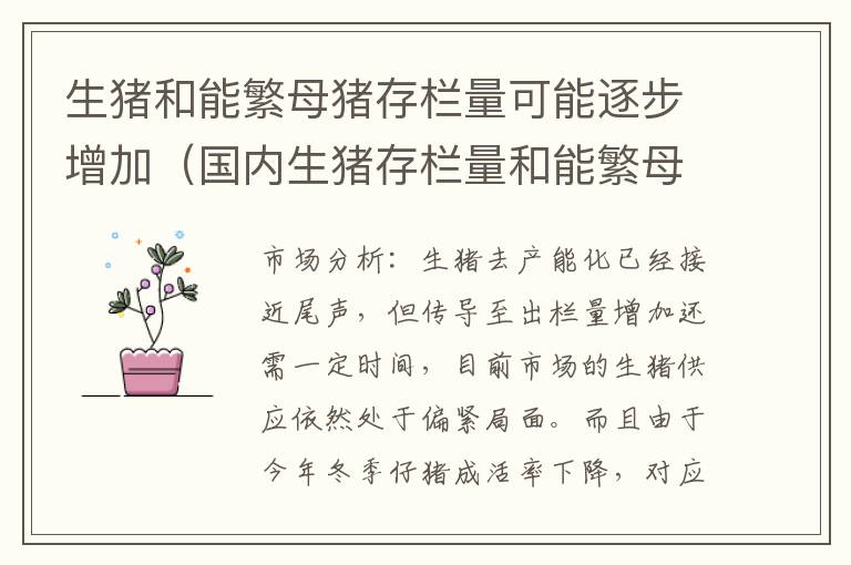 生猪和能繁母猪存栏量可能逐步增加（国内生猪存栏量和能繁母猪存栏量）
