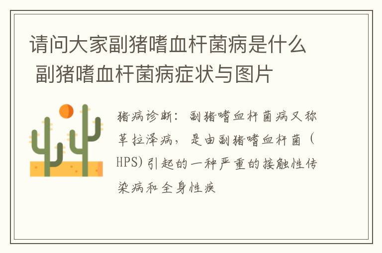 请问大家副猪嗜血杆菌病是什么 副猪嗜血杆菌病症状与图片