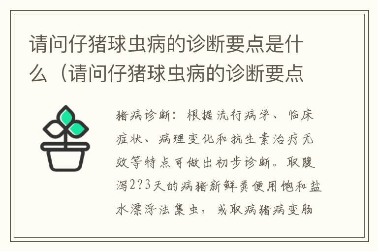 请问仔猪球虫病的诊断要点是什么（请问仔猪球虫病的诊断要点是什么意思）