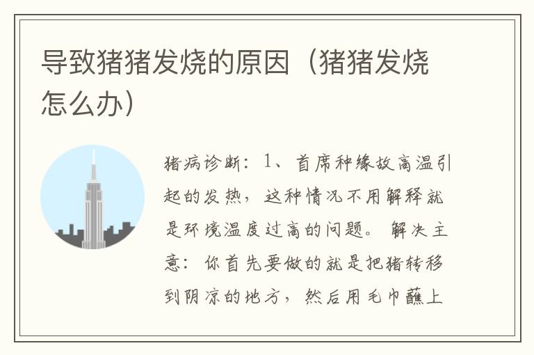 导致猪猪发烧的原因（猪猪发烧怎么办）