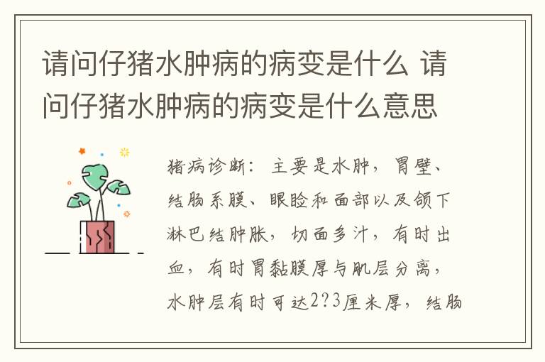请问仔猪水肿病的病变是什么 请问仔猪水肿病的病变是什么意思