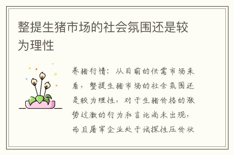 整提生猪市场的社会氛围还是较为理性