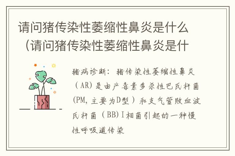 请问猪传染性萎缩性鼻炎是什么（请问猪传染性萎缩性鼻炎是什么病）