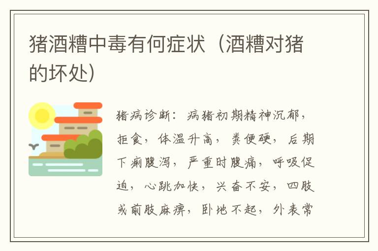 猪酒糟中毒有何症状（酒糟对猪的坏处）
