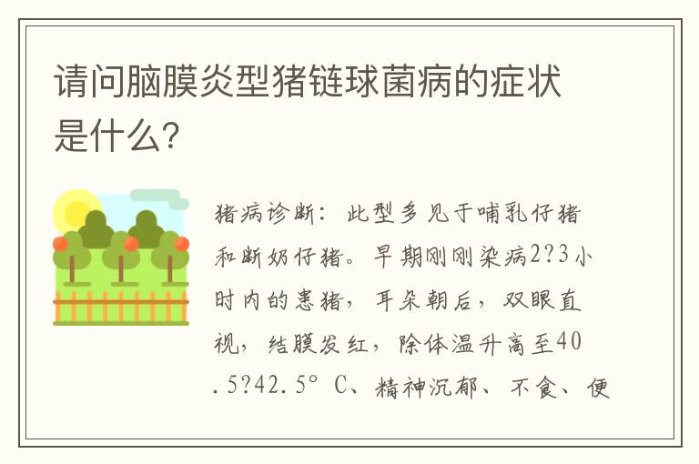 请问脑膜炎型猪链球菌病的症状是什么？