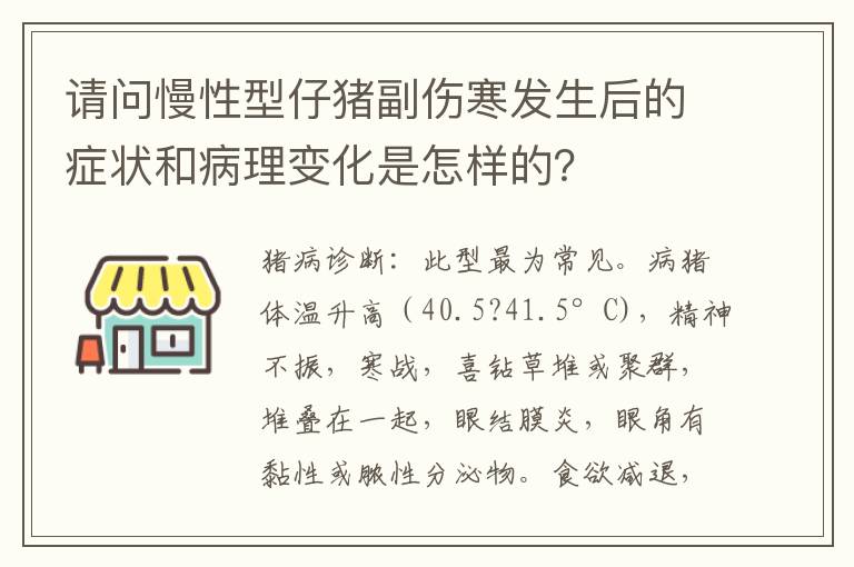 请问慢性型仔猪副伤寒发生后的症状和病理变化是怎样的?