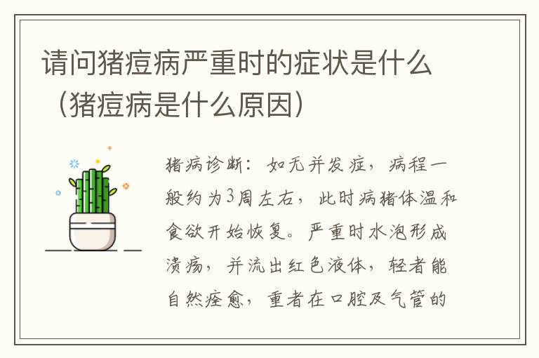 请问猪痘病严重时的症状是什么（猪痘病是什么原因）