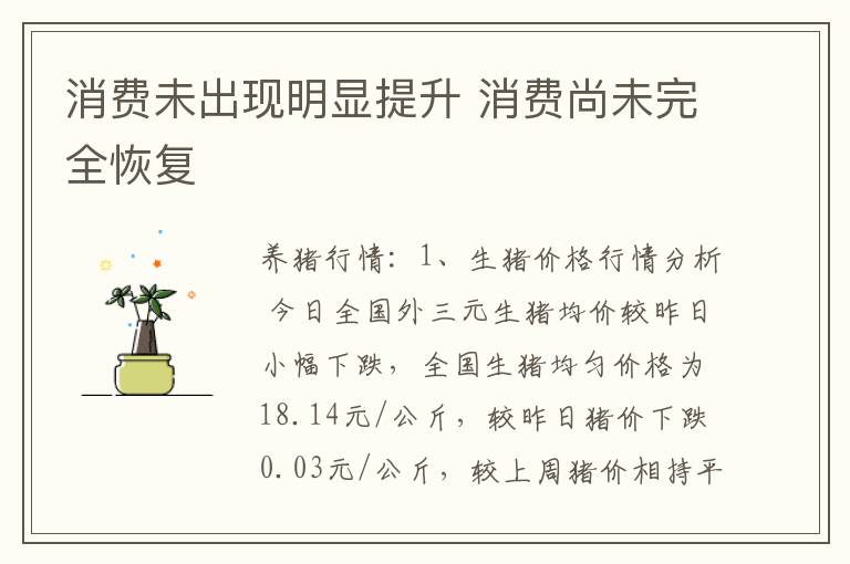 消费未出现明显提升 消费尚未完全恢复