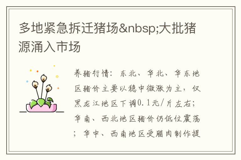 多地紧急拆迁猪场&nbsp;大批猪源涌入市场