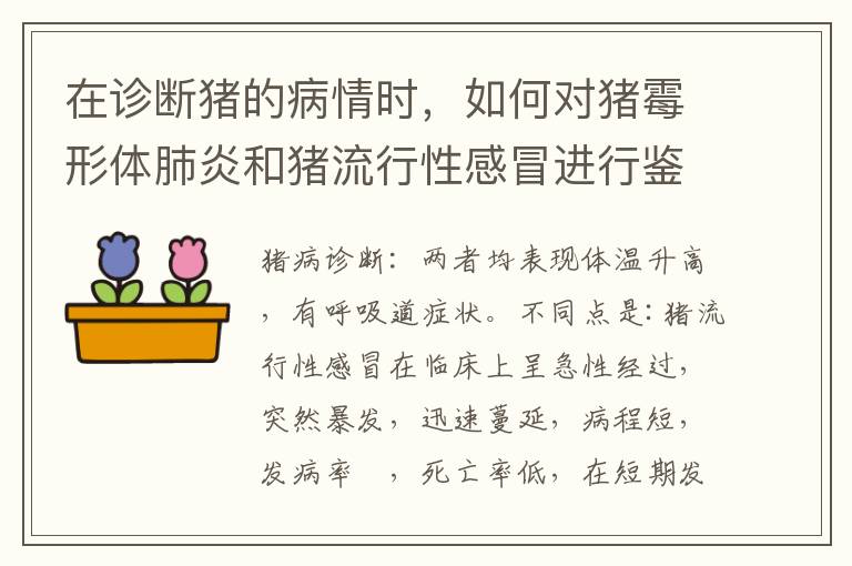 在诊断猪的病情时，如何对猪霉形体肺炎和猪流行性感冒进行鉴别？