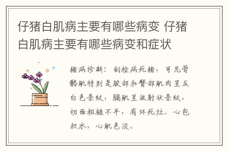 仔猪白肌病主要有哪些病变 仔猪白肌病主要有哪些病变和症状