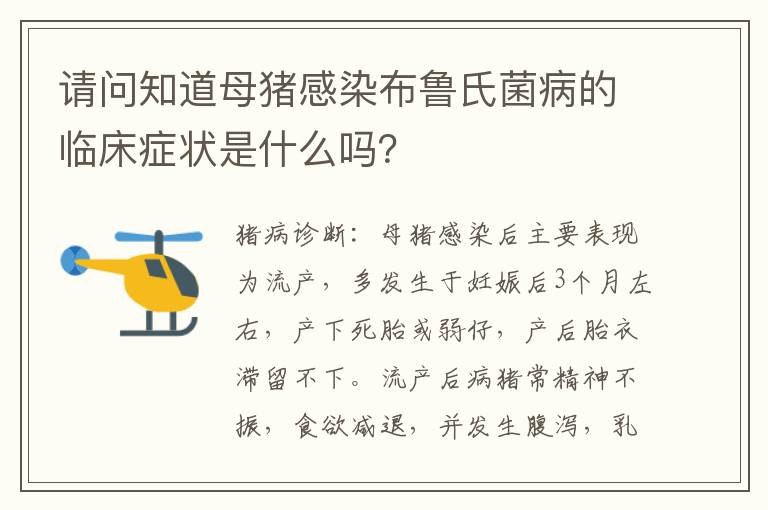 请问知道母猪感染布鲁氏菌病的临床症状是什么吗？