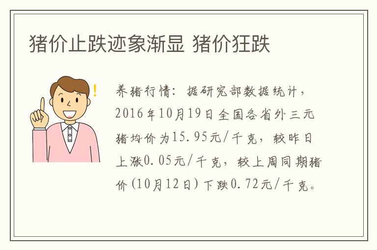 猪价止跌迹象渐显 猪价狂跌