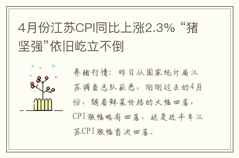 4月份江苏CPI同比上涨2.3% “猪坚强”依旧屹立不倒