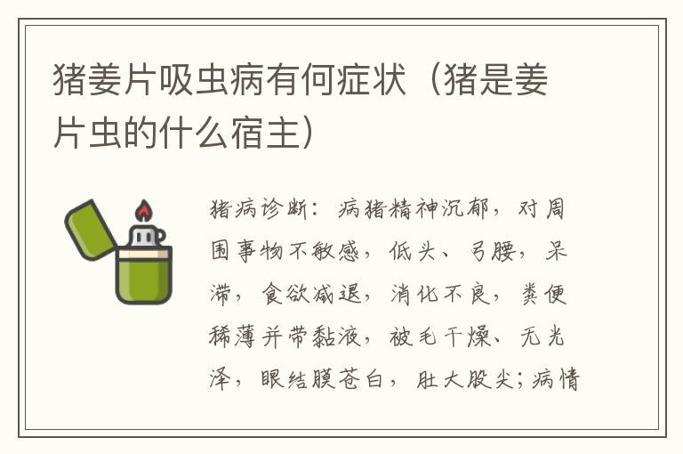 猪姜片吸虫病有何症状（猪是姜片虫的什么宿主）