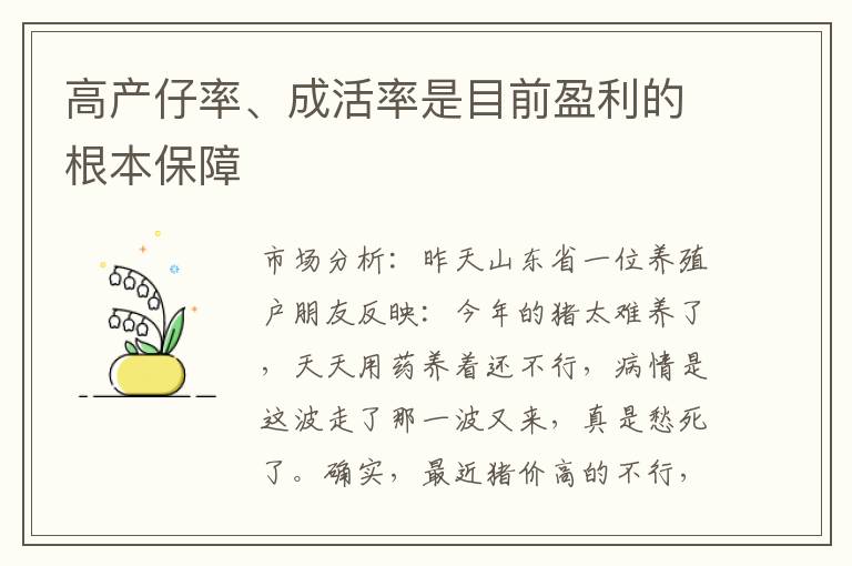 高产仔率、成活率是目前盈利的根本保障