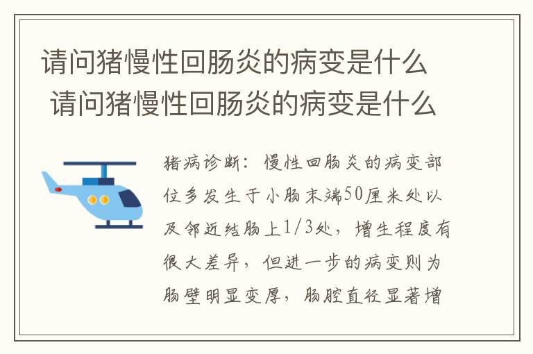 请问猪慢性回肠炎的病变是什么 请问猪慢性回肠炎的病变是什么意思