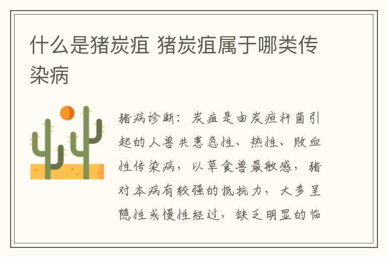 什么是猪炭疽 猪炭疽属于哪类传染病