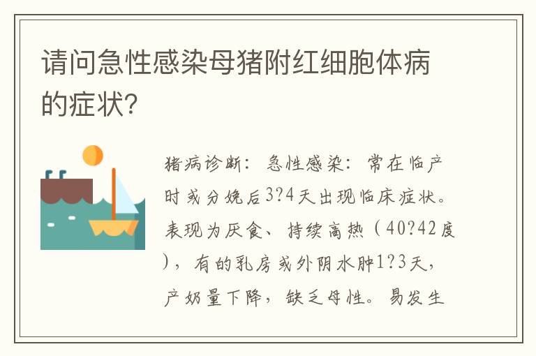 请问急性感染母猪附红细胞体病的症状？