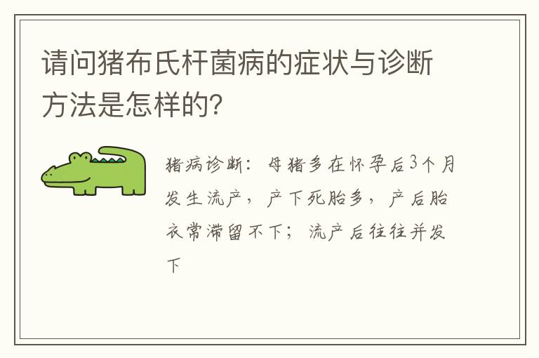 请问猪布氏杆菌病的症状与诊断方法是怎样的？