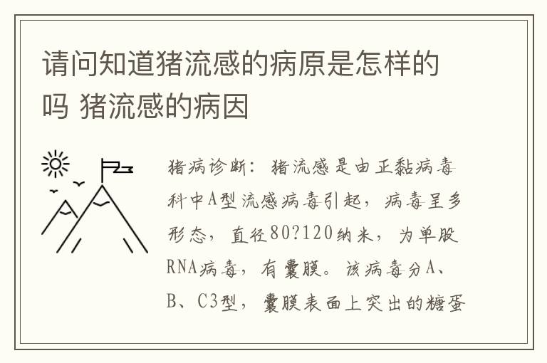 请问知道猪流感的病原是怎样的吗 猪流感的病因
