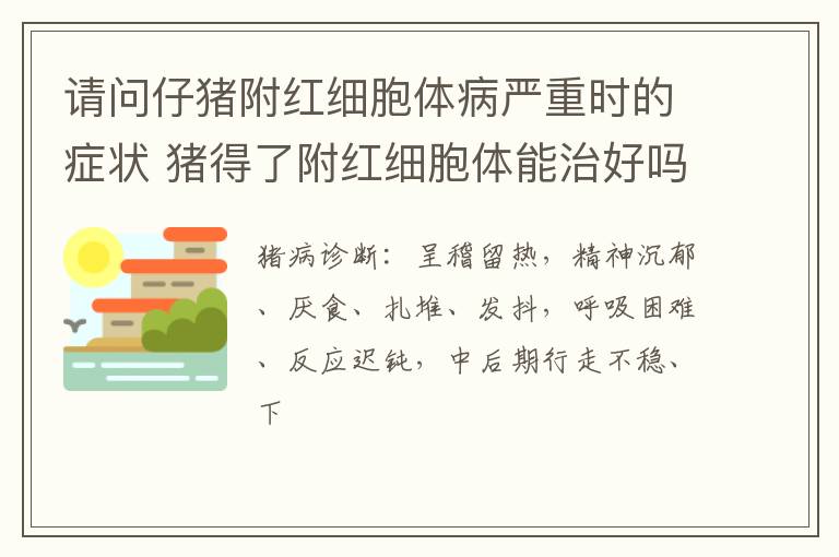 请问仔猪附红细胞体病严重时的症状 猪得了附红细胞体能治好吗