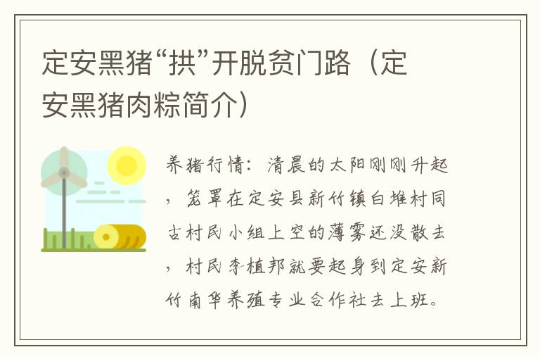定安黑猪“拱”开脱贫门路（定安黑猪肉粽简介）