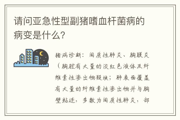 请问亚急性型副猪嗜血杆菌病的病变是什么？
