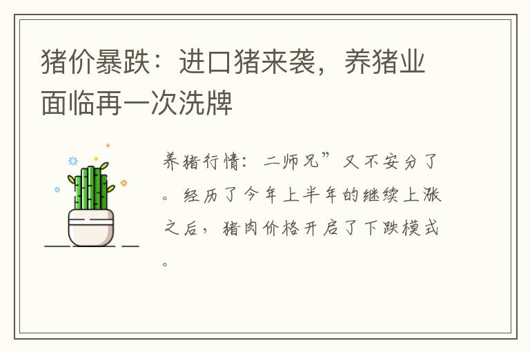 猪价暴跌:进口猪来袭,养猪业面临再一次洗牌