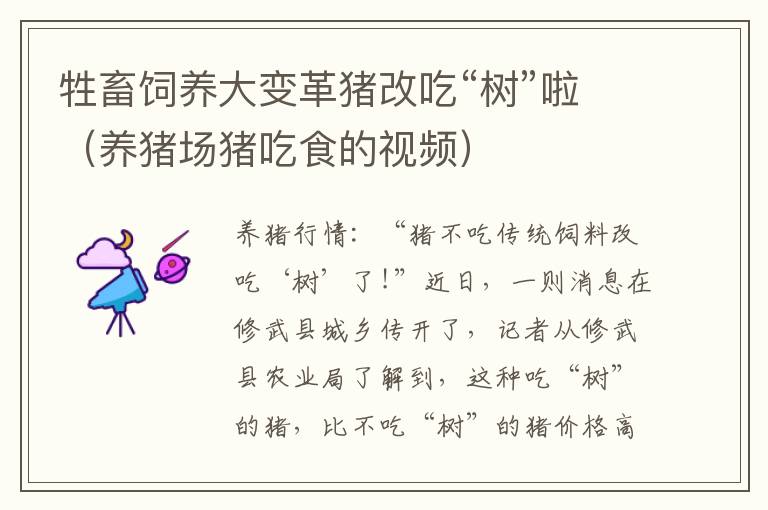 牲畜饲养大变革猪改吃“树”啦（养猪场猪吃食的视频）