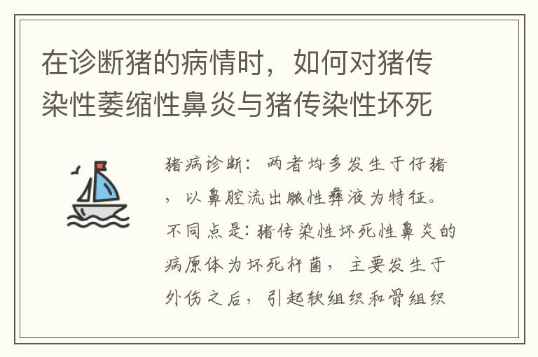 在诊断猪的病情时，如何对猪传染性萎缩性鼻炎与猪传染性坏死性鼻