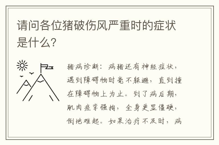 请问各位猪破伤风严重时的症状是什么？