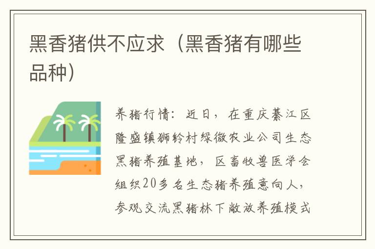 黑香猪供不应求(黑香猪有哪些品种)