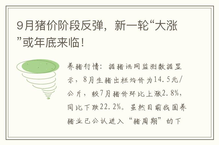9月猪价阶段反弹，新一轮“大涨”或年底来临！