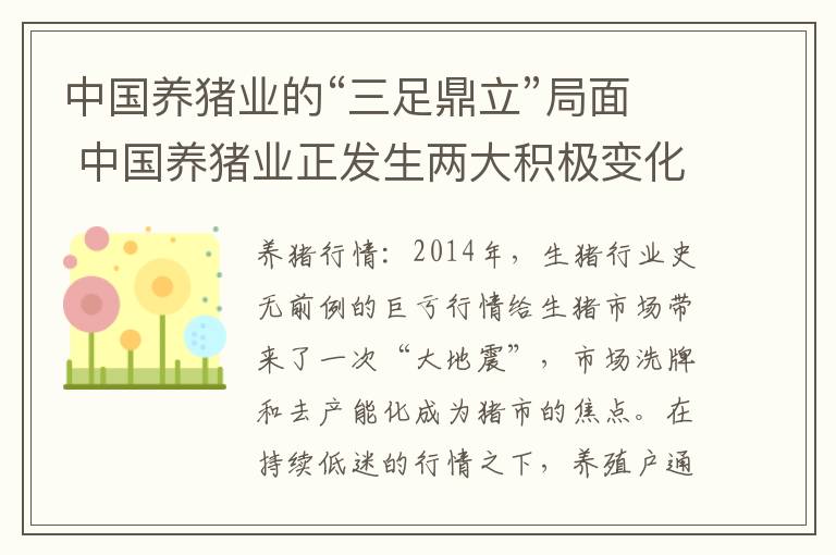 中国养猪业的“三足鼎立”局面 中国养猪业正发生两大积极变化