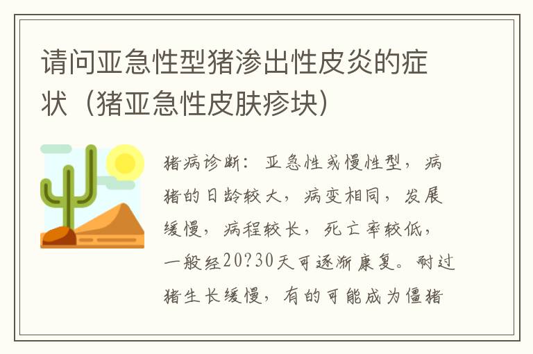 请问亚急性型猪渗出性皮炎的症状（猪亚急性皮肤疹块）