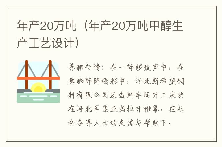 年产20万吨（年产20万吨甲醇生产工艺设计）