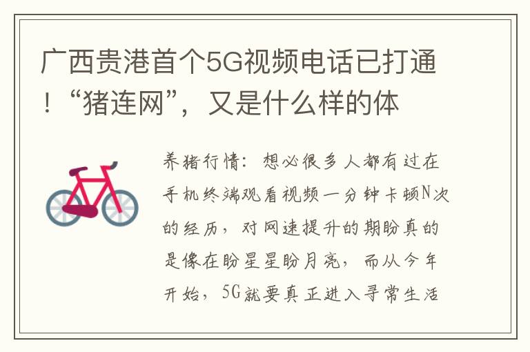 广西贵港首个5G视频电话已打通！“猪连网”，又是什么样的体验？