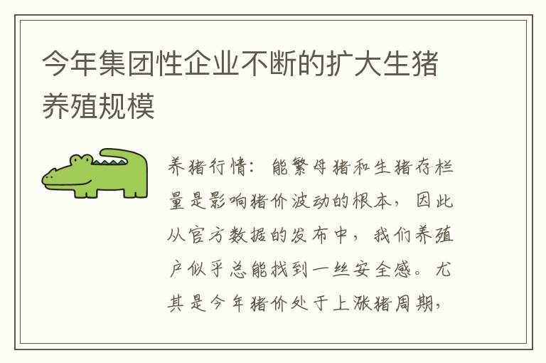今年集团性企业不断的扩大生猪养殖规模