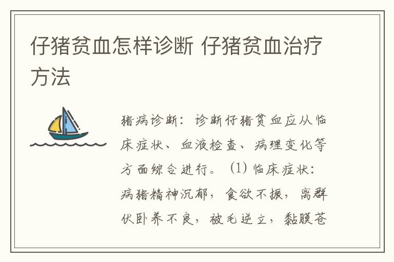 仔猪贫血怎样诊断 仔猪贫血治疗方法