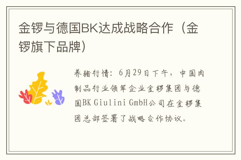 金锣与德国BK达成战略合作（金锣旗下品牌）