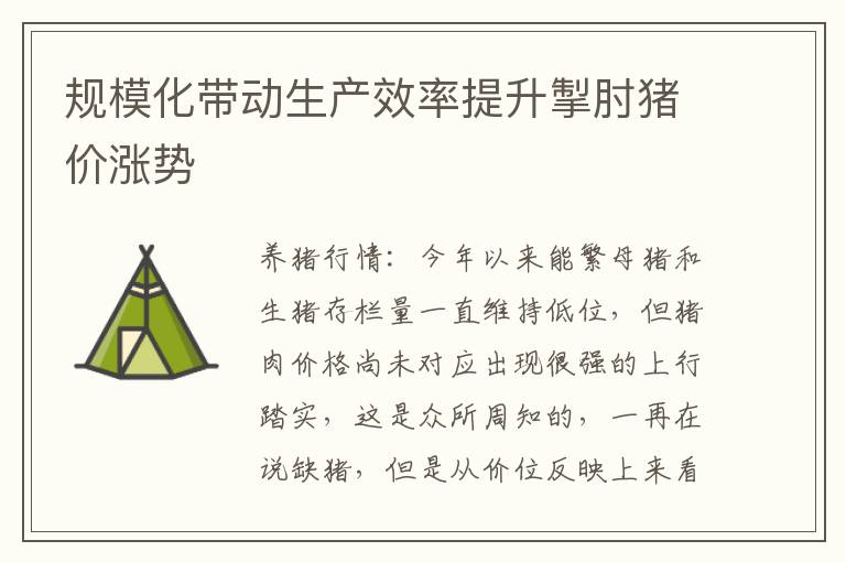 规模化带动生产效率提升掣肘猪价涨势