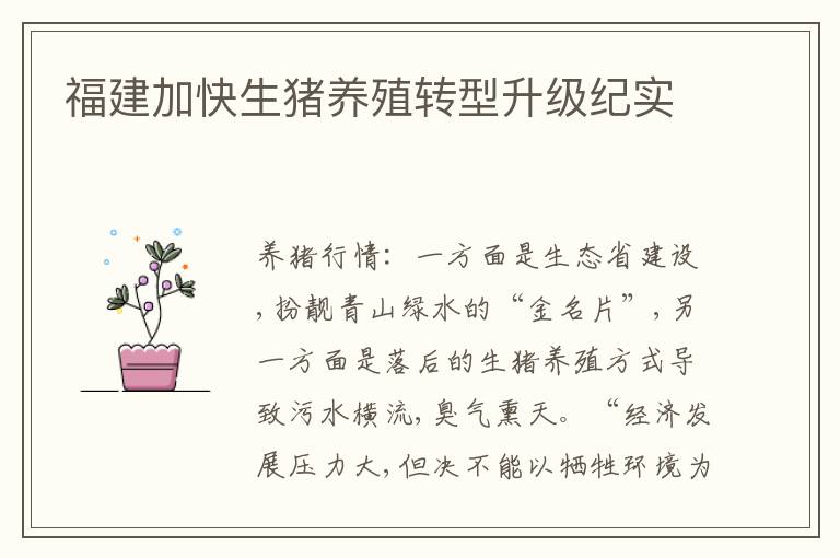 福建加快生猪养殖转型升级纪实