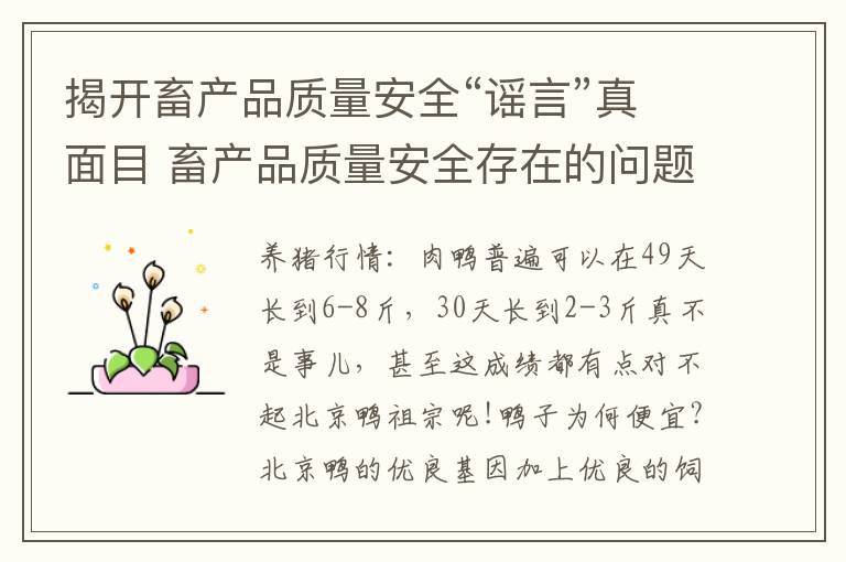 揭开畜产品质量安全“谣言”真面目 畜产品质量安全存在的问题探讨