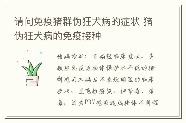 请问免疫猪群伪狂犬病的症状 猪伪狂犬病的免疫接种