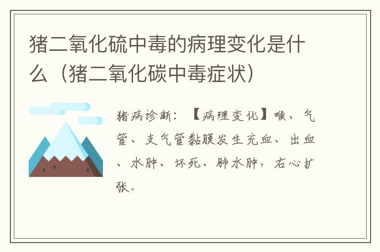 猪二氧化硫中毒的病理变化是什么（猪二氧化碳中毒症状）